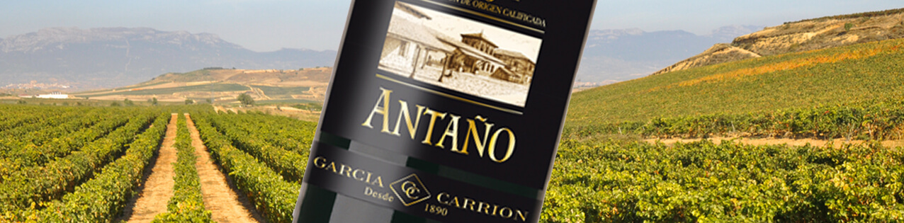 Spanische Antano Weine von Garcia Carrion kaufen