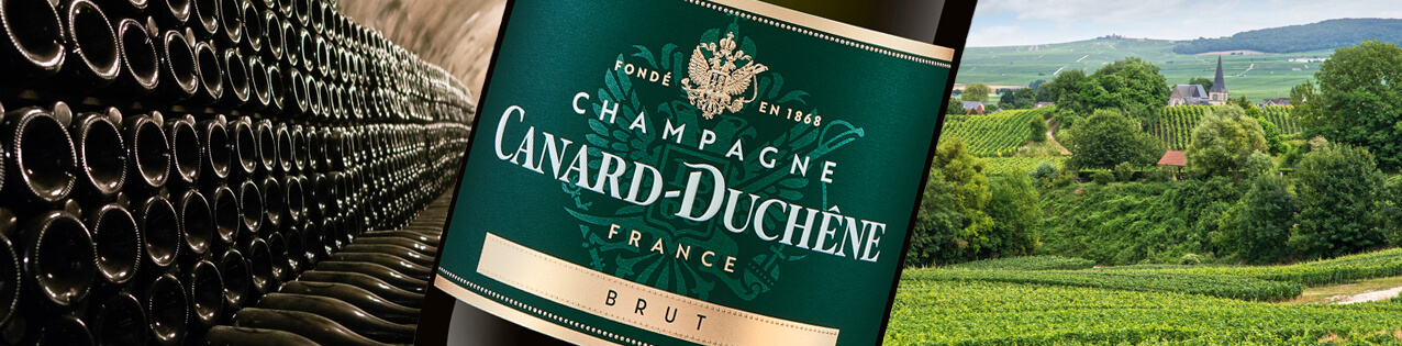 Champagne Canard Duchene kaufen