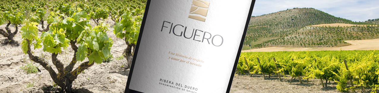 Spanische Weine von Figuero kaufen