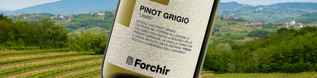 Italienishe Weine von Forchir kaufen
