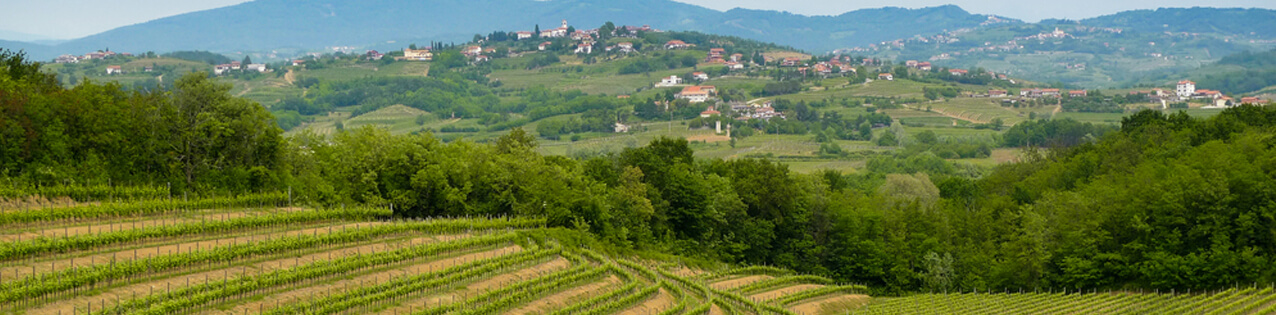 Rotwein aus Italien, kaufen