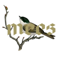 Weingut Mees