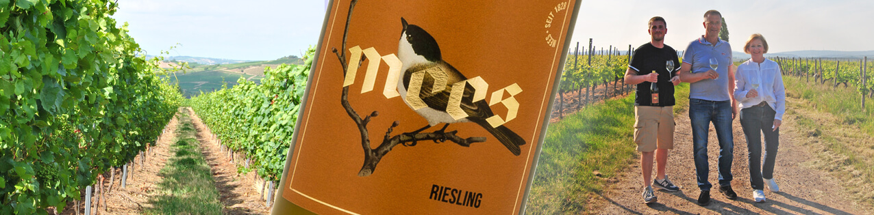 Wein vom Weingut Mees in Bosenheim kaufen