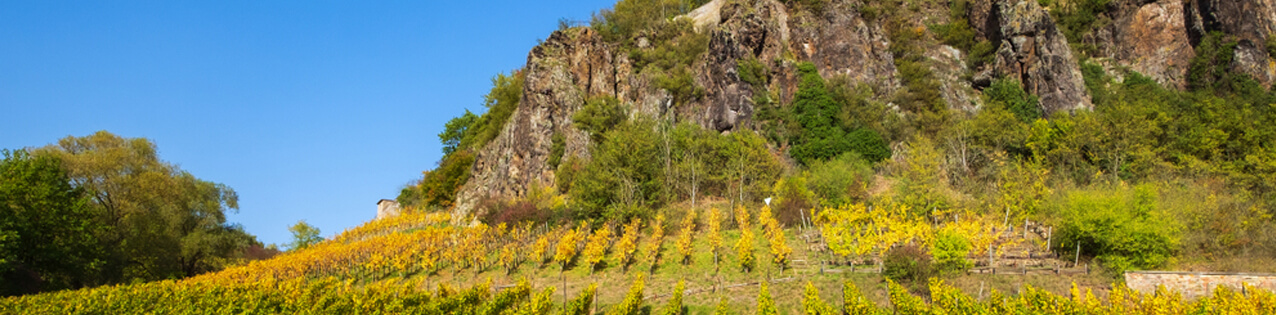 Deutsche Rotweine von der Nahe