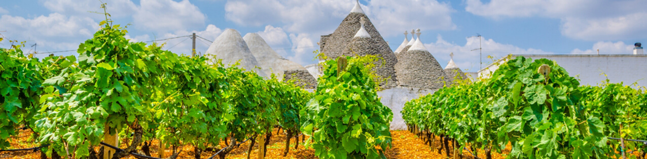 Rotwein aus Apulien (Puglia) in Italien kaufen