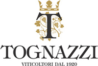 Tognazzi Benedetto
