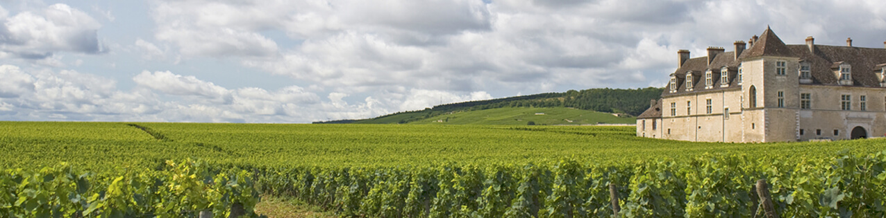 Wei�wein aus Frankreich kaufen
